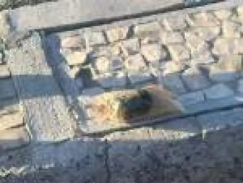 Polícia do Rio desarma granada de som e luz encontrada na orla de Copacabana