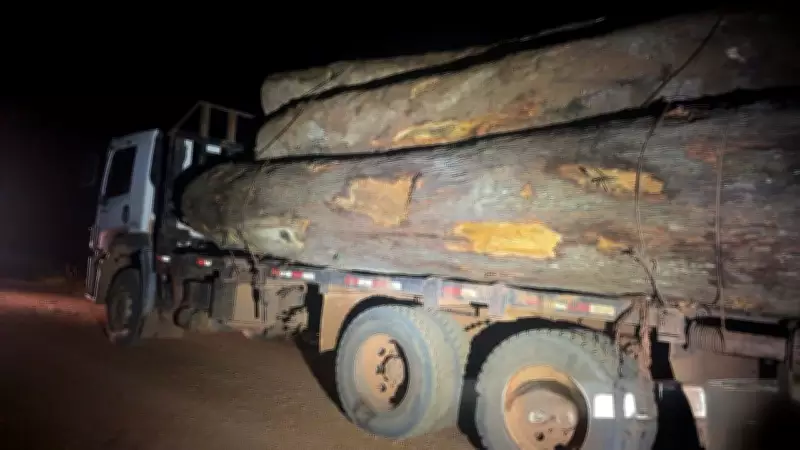 Polícia Militar apreende três caminhões com madeira ilegal em Rondônia