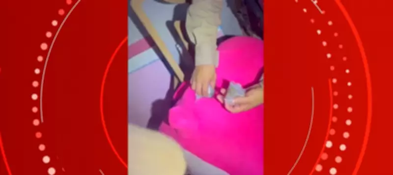 Policiais encontram drogas escondidas em urso de pelúcia durante operação em Unaí