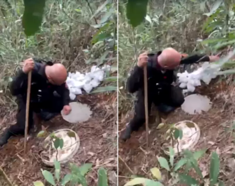 Policial desenterra 904 cápsulas de cocaína e 59 tabletes de maconha em Petrópolis