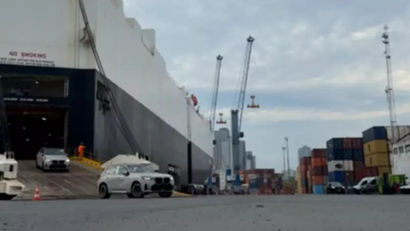 Porto de Itajaí recebe 430 veículos de luxo em navio especializado