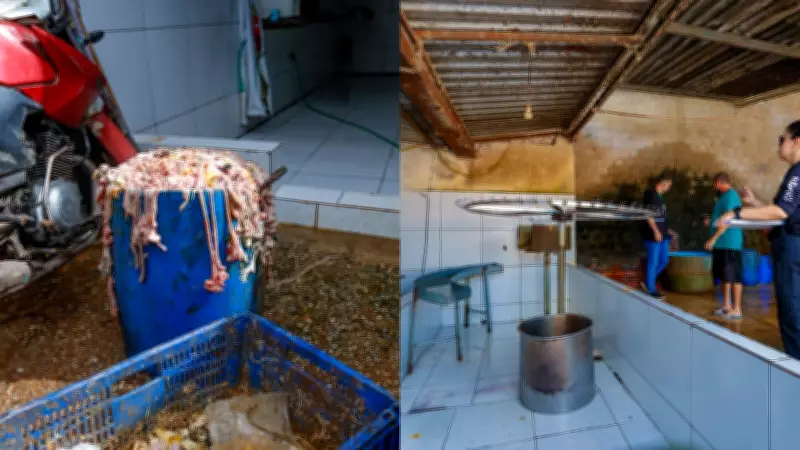 Preso dono de abatedouro clandestino de aves em Teresina após denúncias