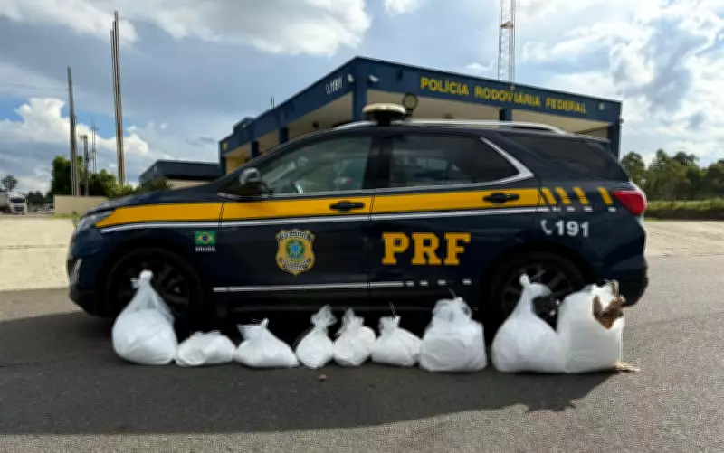 PRF apreende 111 kg de cocaína em acidente na Fernão Dias, em Cambuí