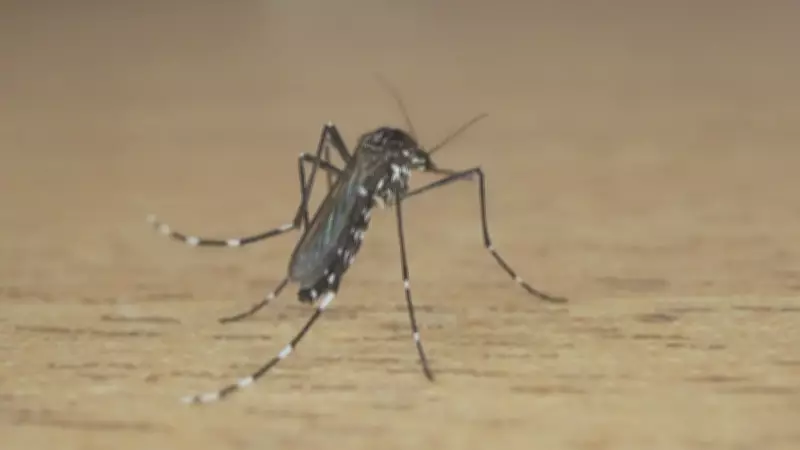 Primeira morte por dengue em 2026 no RS alerta para vacinação ampliada em todo o estado