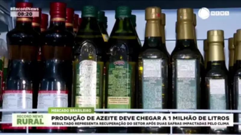 Produção de azeite no Brasil deve alcançar 1 milhão de litros em 2026