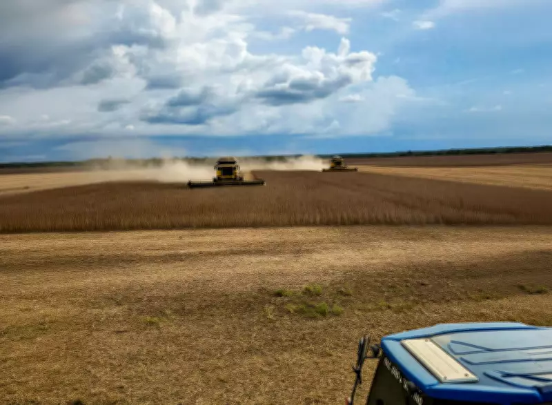 Produtores do Tocantins enfrentam clima adverso e custos altos, mas mantêm resiliência no campo