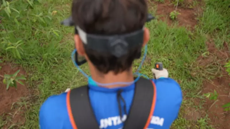 Projeto Replantando Vida já plantou mais de 4,5 milhões de mudas no RJ com mão de obra de detentos