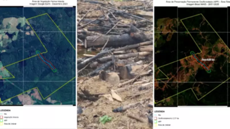 Proprietário rural é multado em R$ 90 mil por desmatar 2,57 hectares de floresta em APA no Paraná