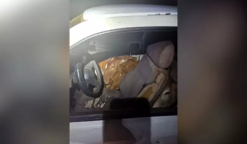 Quatro bois furtados são encontrados espremidos dentro de carro em Rosana