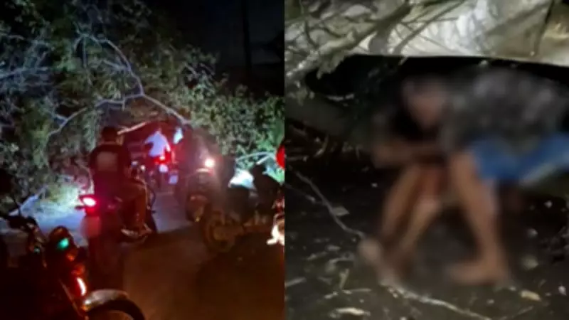Queda de árvore bloqueia estrada e fere motociclistas em Teresina