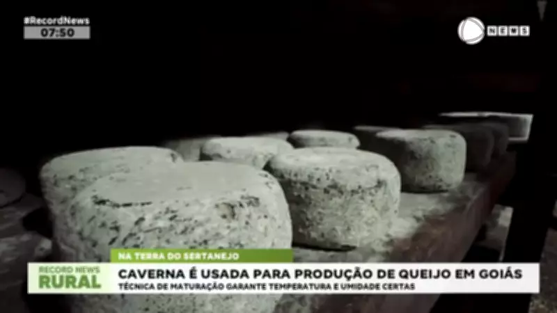 Queijaria em Goiás inaugura primeira caverna de maturação do Brasil