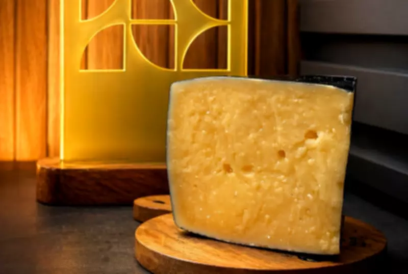 Queijo catarinense "Reserva do Vale" é eleito o melhor do mundo em concurso