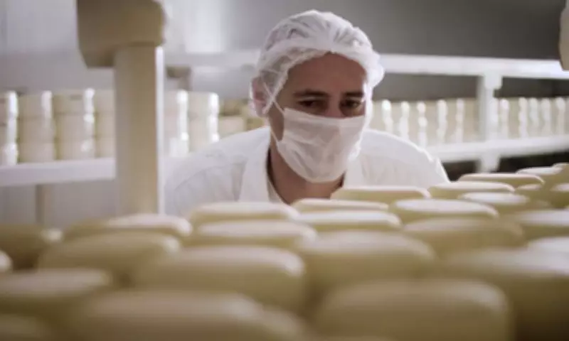 Queijo de Juiz de Fora conquista ouro no 4º Mundial do Queijo Brasil