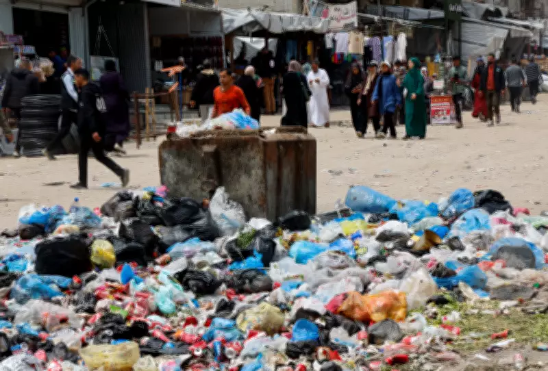 Ratos e parasitas infestam acampamentos em Gaza e atacam crianças enquanto dormem