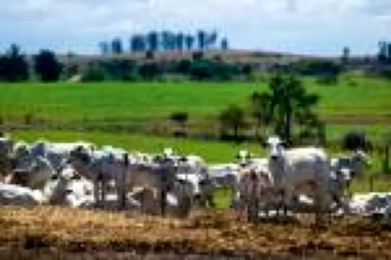 Recuperações judiciais batem recorde em 2025, com agropecuária e serviços liderando os pedidos