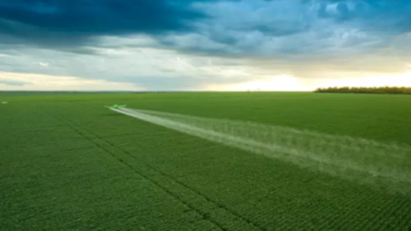 Recuperação judicial no agro atinge recorde em 2025; entenda causas