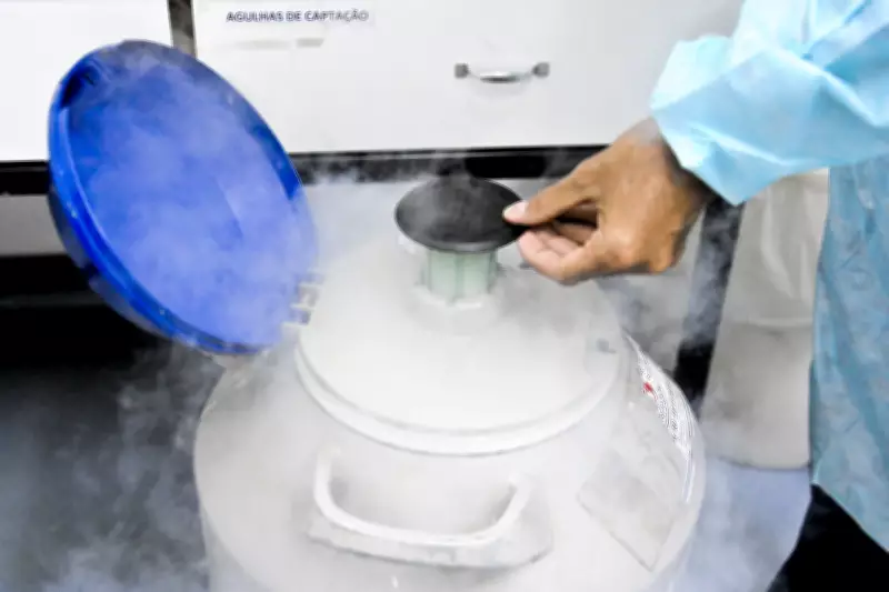 Ribeirão Preto concentra 1 em cada 6 embriões congelados do Brasil, revela Anvisa