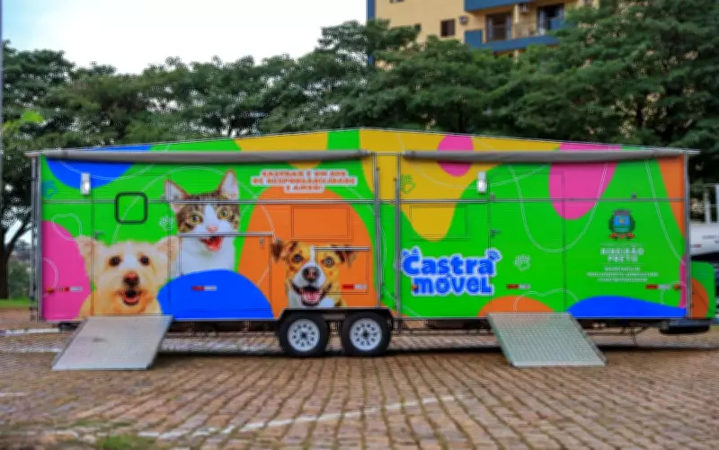 Ribeirão Preto lança sistema online para castração gratuita de cães e gatos