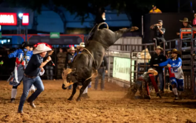 Ribeirão Rodeo Music 2025: 350 atletas disputam R$ 180 mil em prêmios em touros e Três Tambores