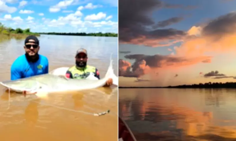 Rio Araguaia: região onde peixes gigantes de 2 metros são pescados e soltos