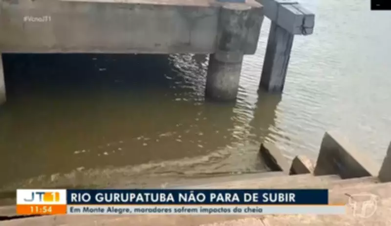 Rio Gurupatuba sobe mais de 1 metro em 30 dias e afeta moradores em Monte Alegre, PA