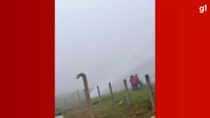 Rompimento de adutora causa jato gigante de água em Curitiba