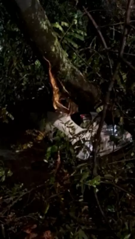 Árvore cai sobre carro durante temporal no Rio de Janeiro, motorista fica preso