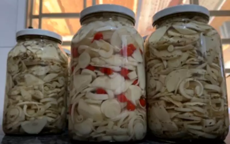 Sabores do Campo ensina receita tradicional de conserva de guariroba do cerrado