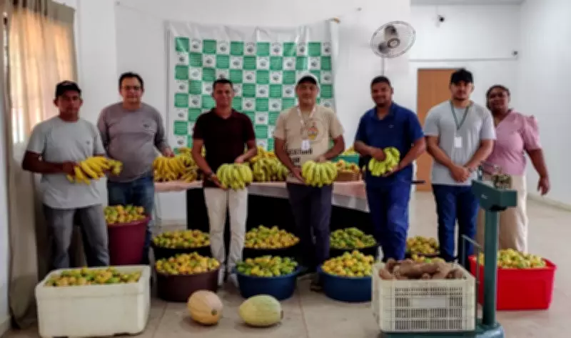 SAF entrega mais de três toneladas de alimentos no Piauí, beneficiando 116 famílias