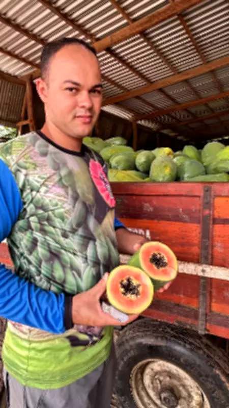 Sebrae no Acre capacita pequenos fornecedores de frutas e verduras