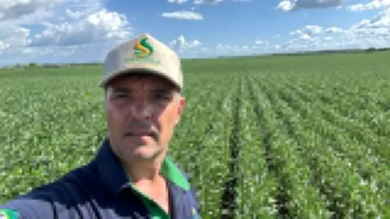 Segunda safra no Tocantins mantém estabilidade, mas clima e custos pressionam produtores