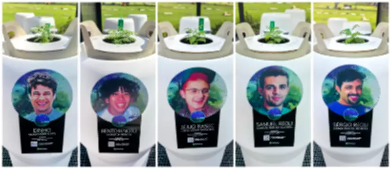 Sementes com cinzas dos Mamonas Assassinas germinam em memorial em Guarulhos