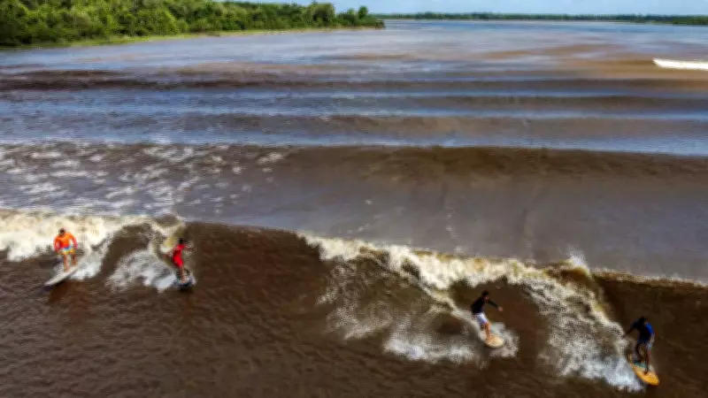 São Domingos do Capim sedia competição de surfe na pororoca com prêmio de R$ 20 mil