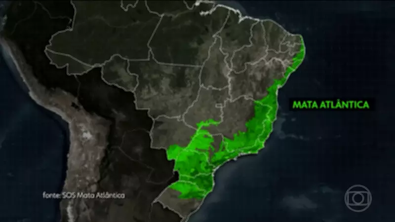 SOS Mata Atlântica celebra 40 anos com 44 milhões de árvores plantadas e restauração de nascentes
