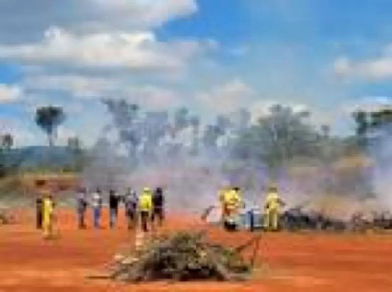 SP inicia operação preventiva contra incêndios florestais com R$ 19,3 mi