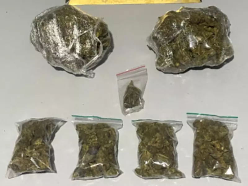 Suspeito de tráfico esconde drogas na casa da ex e tenta forçá-la a assumir crime em Ipatinga