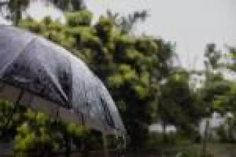 Temporais atingem Norte e Nordeste; SP tem máxima de 27°C