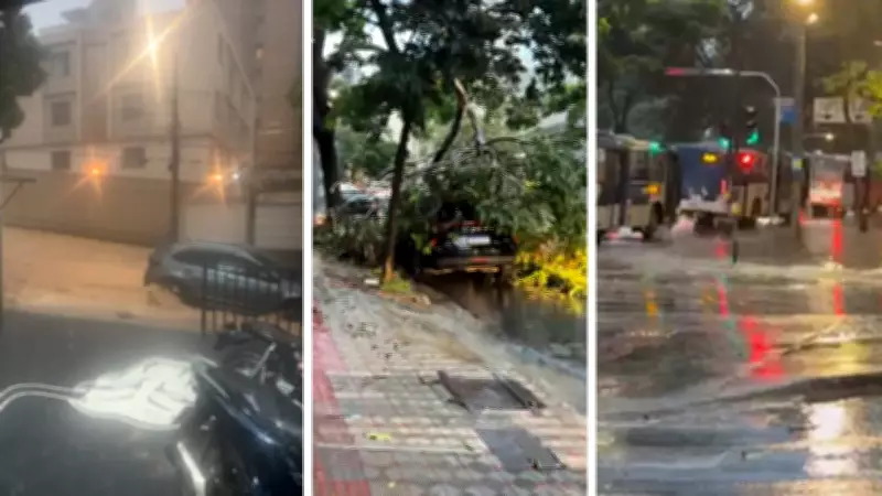 Temporal causa alagamentos e queda de árvores em Belo Horizonte nesta quarta-feira