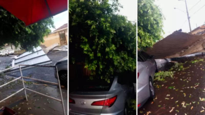 Temporal causa estragos em Fernandópolis: árvores caem, telhados voam e avenidas alagam