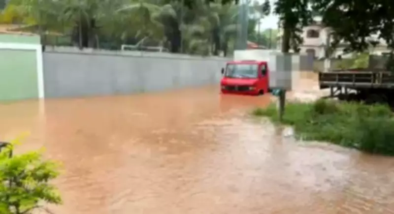 Temporal intenso causa alagamentos e derruba árvores centenárias em Barra Mansa