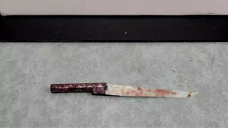 Tentativa de feminicídio no RS: mulher esfaqueada quatro vezes pelo companheiro sobrevive