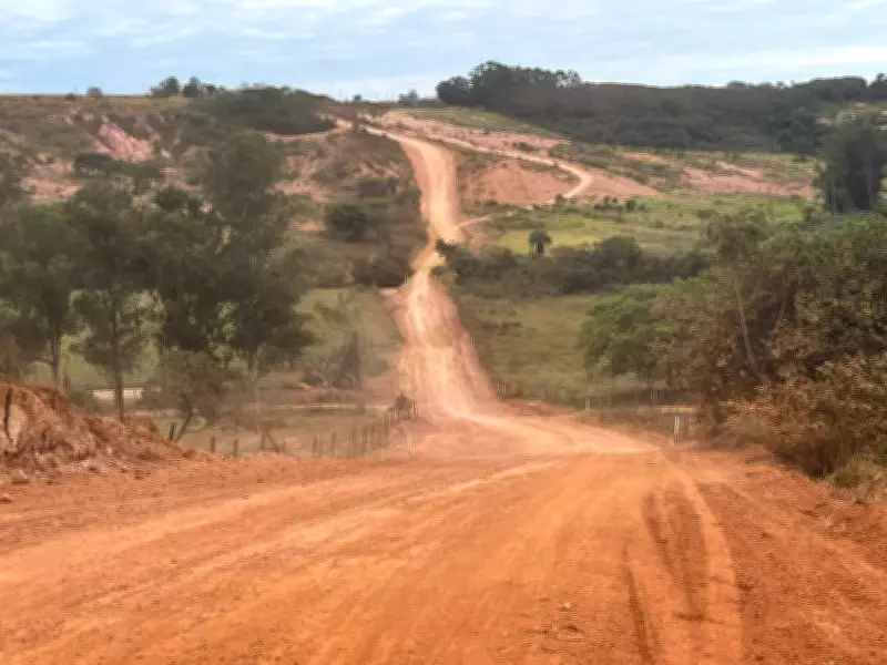Topógrafa é atacada por mais de 300 abelhas-europeias durante trabalho em Lagoa Formosa