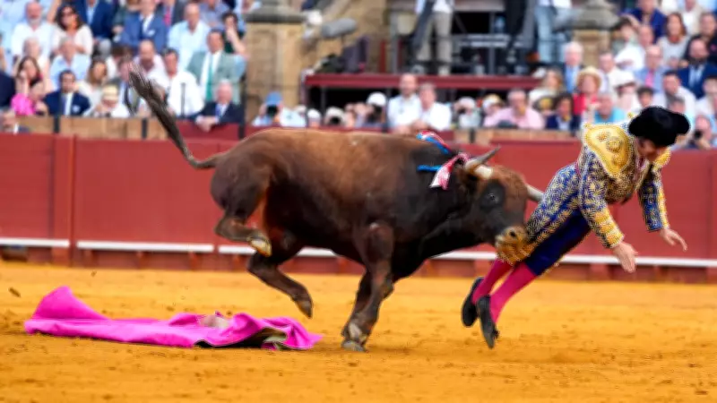 Toureiro espanhol Morante de la Puebla sofre grave ferida anal por touro em Sevilha