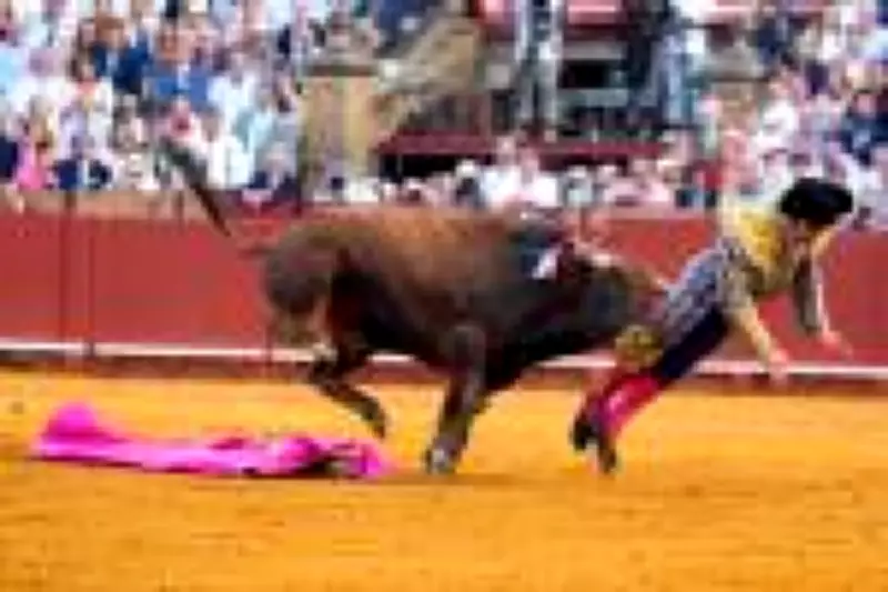 Toureiro espanhol sofre chifrada grave na nádega durante evento em Sevilha