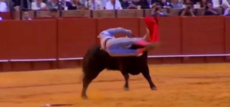 Toureiro peruano sofre chifrada de 35 cm em tourada na Espanha