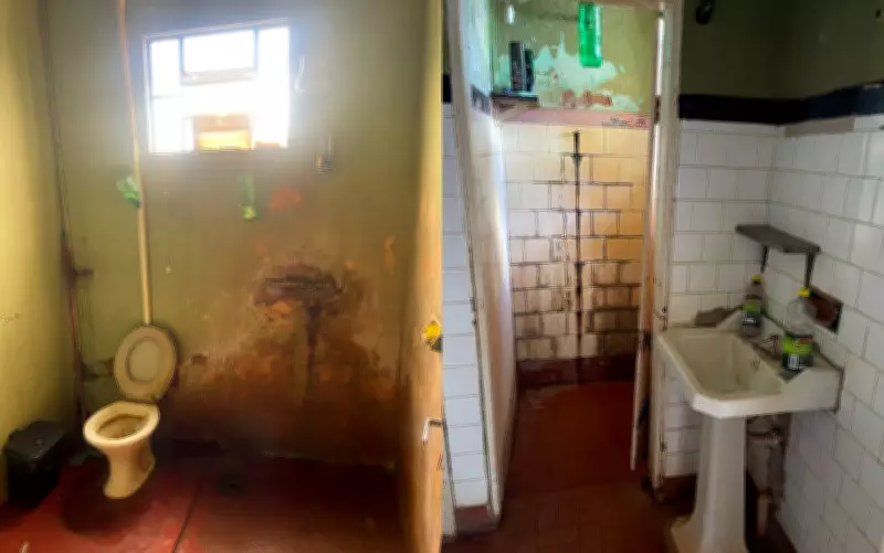 Trabalhadores resgatados de fazenda em Terra Roxa viviam em condições degradantes