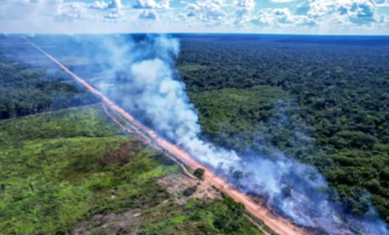TRF1 derruba liminar e Dnit retoma licitações para obras na BR-319
