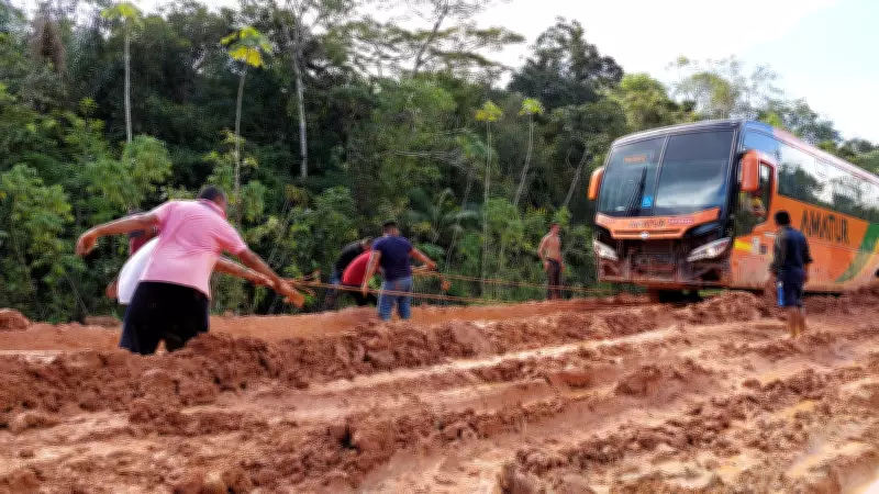 TRF1 suspende liminar e libera licitações para obras na BR-319