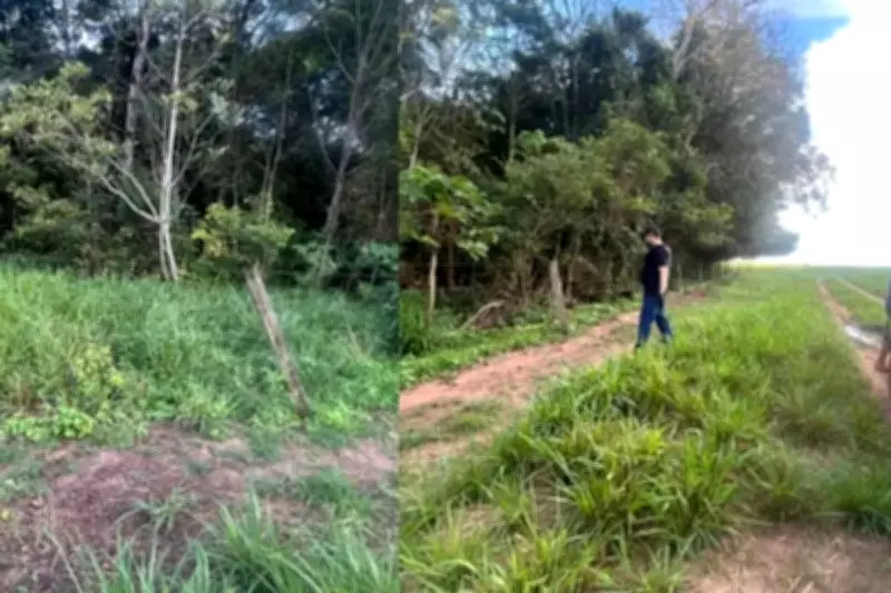 Três jovens desaparecidos são encontrados mortos em Campo Novo do Parecis; dois suspeitos presos