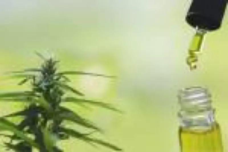 Trump reclassifica maconha nos EUA e amplia acesso à substância